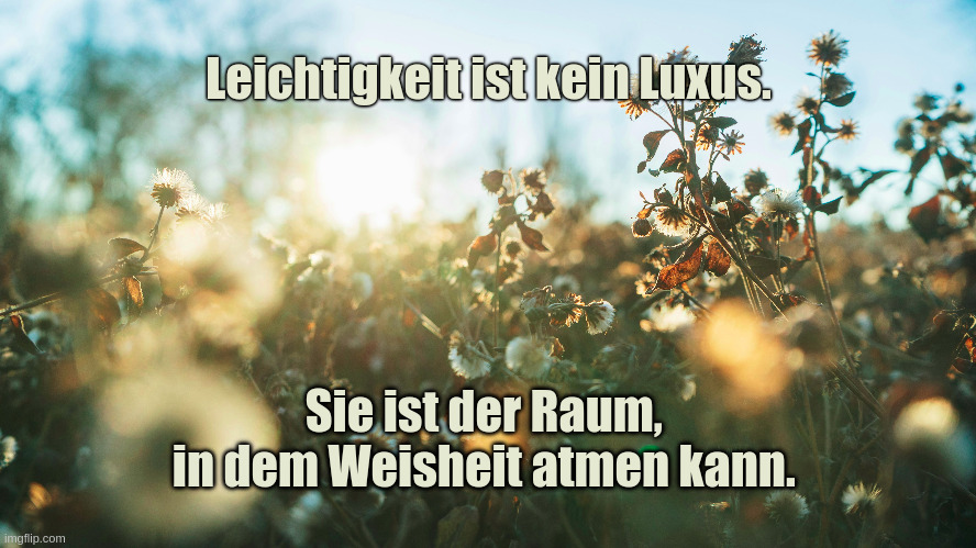 Leichtigkeit und Weisheit: Wie Stille unsere innere Kraft weckt