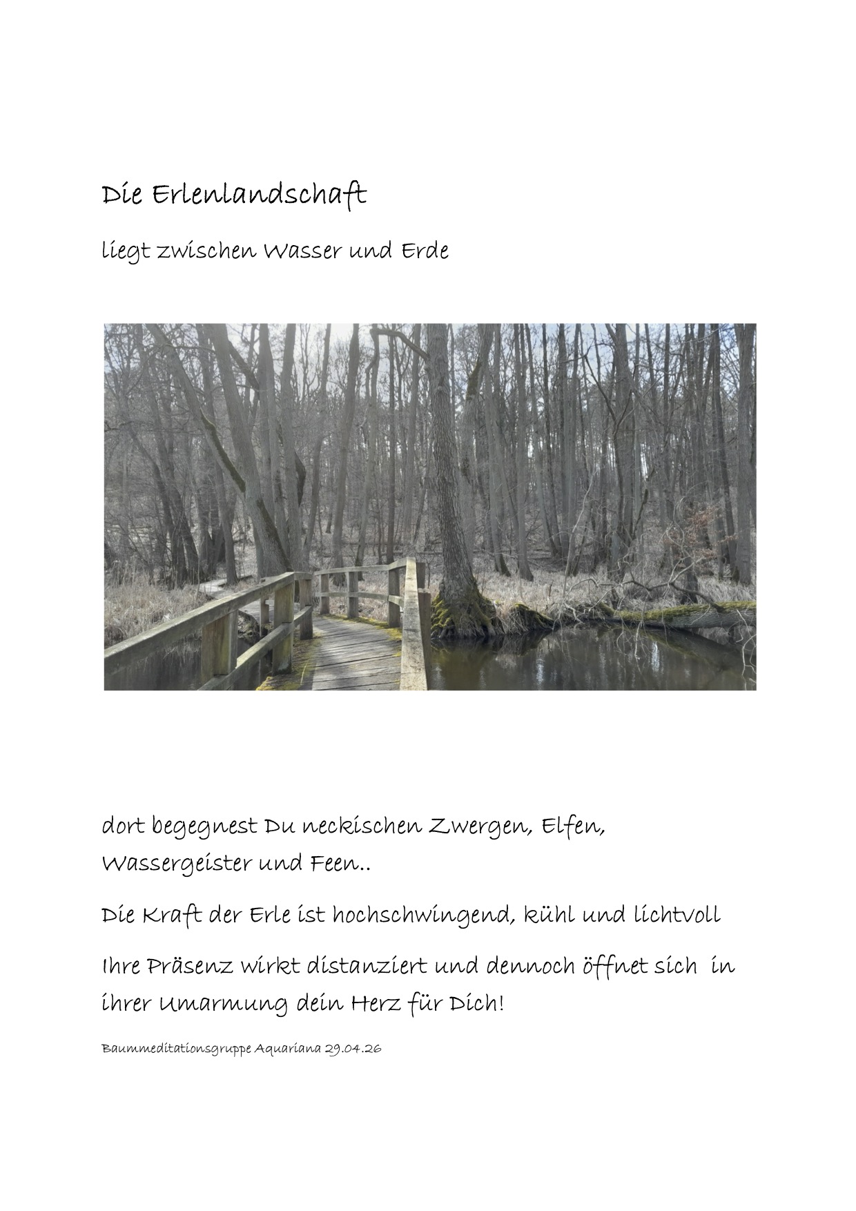 Die Erlenlandschaft