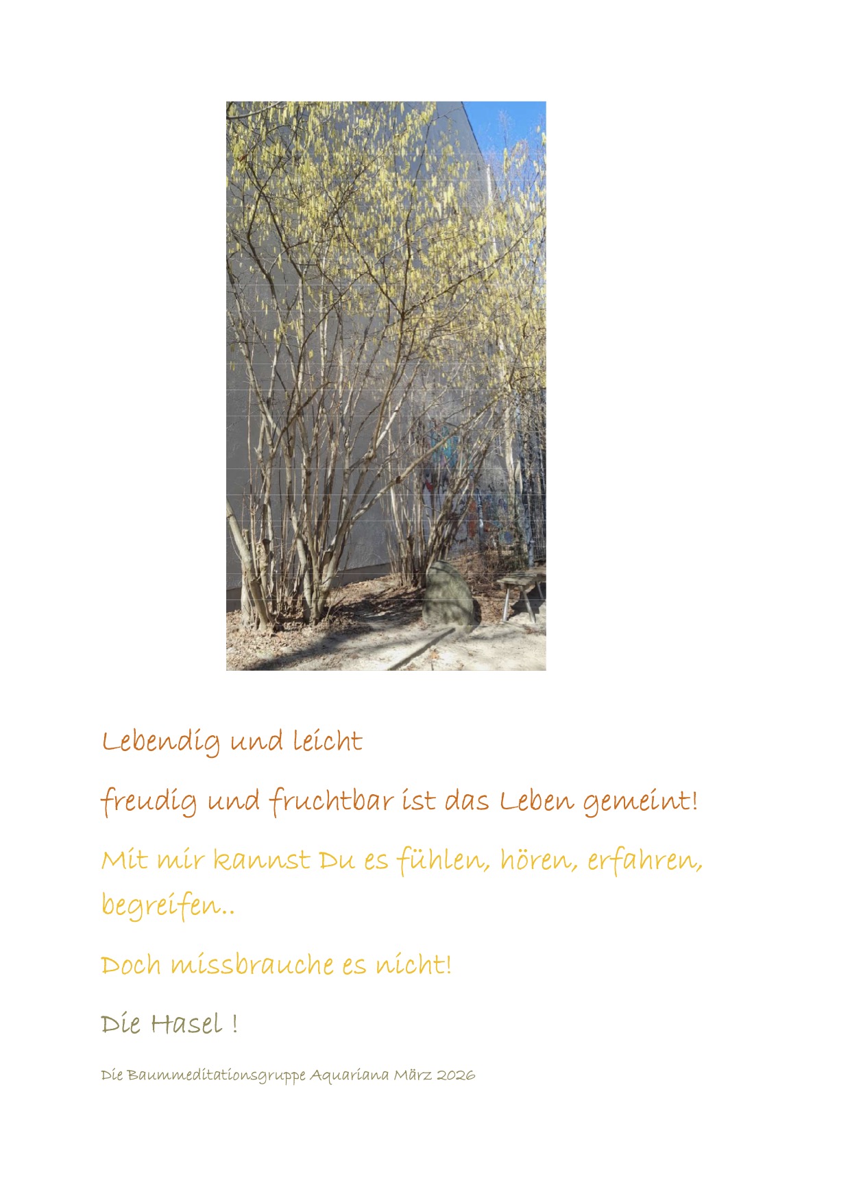 Die Hasel